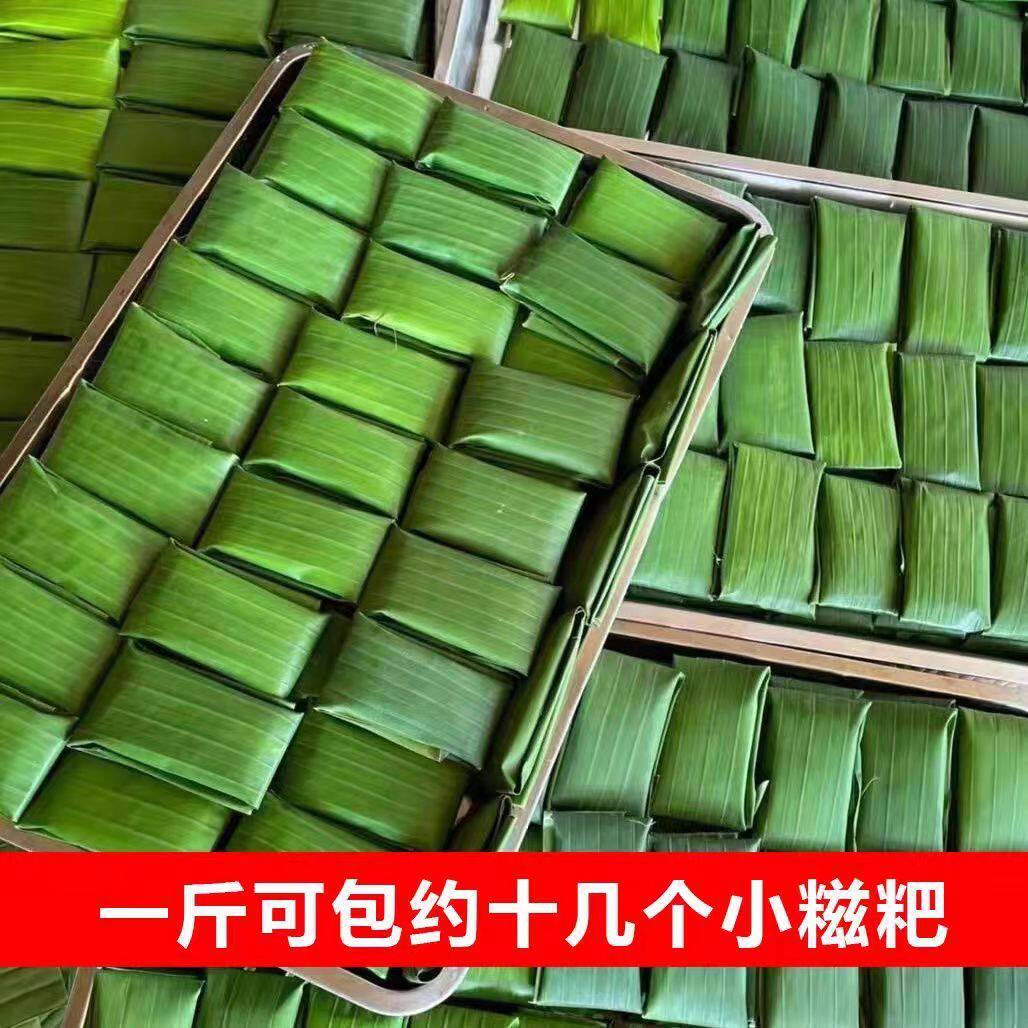 大蕉叶广东芭蕉叶食用芭蕉叶子新鲜香蕉叶子焦叶红糖糍粑糕巴蕉叶