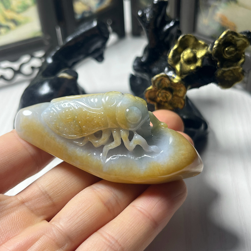【一物一图】黄翡翡翠玉石玉蝉吊坠把玩小摆 缅甸玉器珠宝首饰