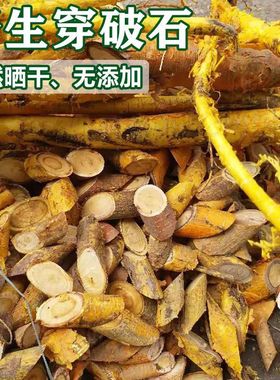 野生穿破石根无硫中药材干货九层皮地绵根拉牛入石根山荔枝根草药