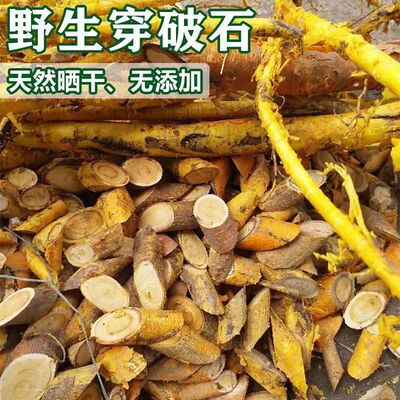 野生穿破石根无硫中药材