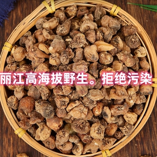 山慈菇中药材云南丽江高海拔野外生长毛慈姑冰球子茨菇中草药