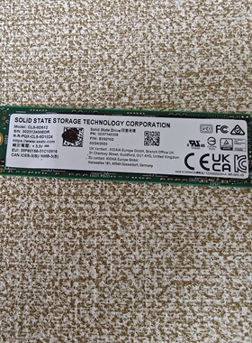 雷神 机械师 CL5-8D512/1024 512G 1T NVME1.4 神舟 M.2 固态硬盘