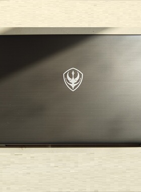 原装雷神G170S 神舟战神K710C K750D P4 P5 炫龙x5plus笔记本外壳