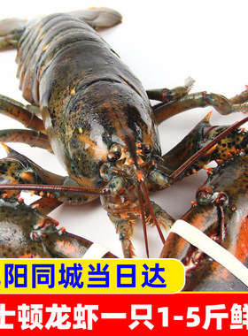 波士顿龙虾大龙虾水产沈阳同城