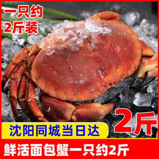 鲜活水产海鲜面包蟹螃蟹黄金蟹元宝蟹一只约2斤装太子蟹辽宁沈阳