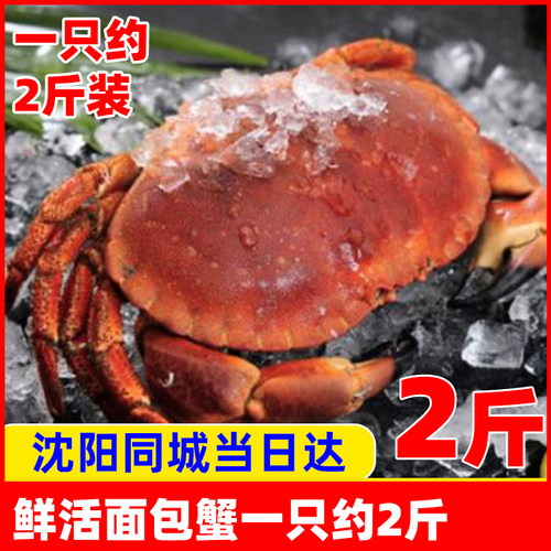 水产海鲜面包蟹螃蟹黄金蟹元宝蟹一只约2斤装太子沈阳保鲜不保活