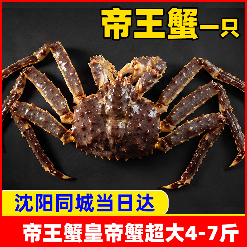 特大帝王蟹皇帝蟹螃蟹鲜活水产海鲜俄罗斯智利一只3到10斤装沈阳