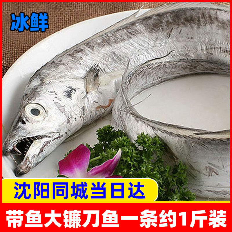 带鱼海鲜冷冻深海刀鱼镰刀鱼长鱼新鲜辽宁沈阳同城1条约1斤多宽大