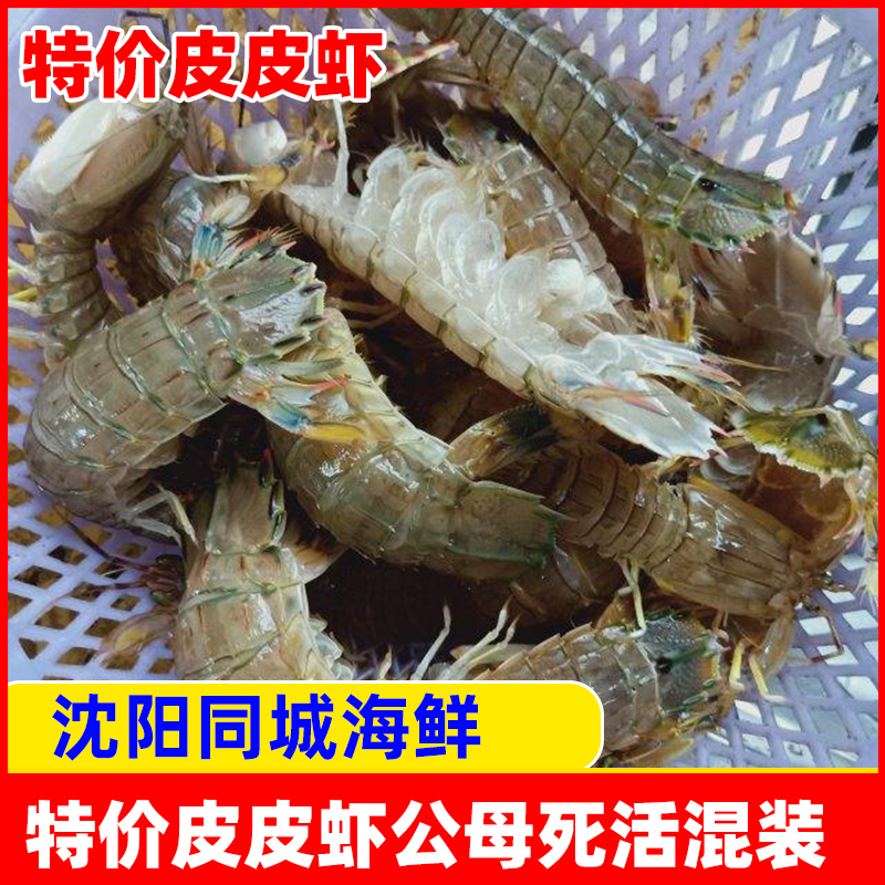 特价皮皮虾死活混装辽宁沈阳同城海鲜水产节日食用一斤装东港