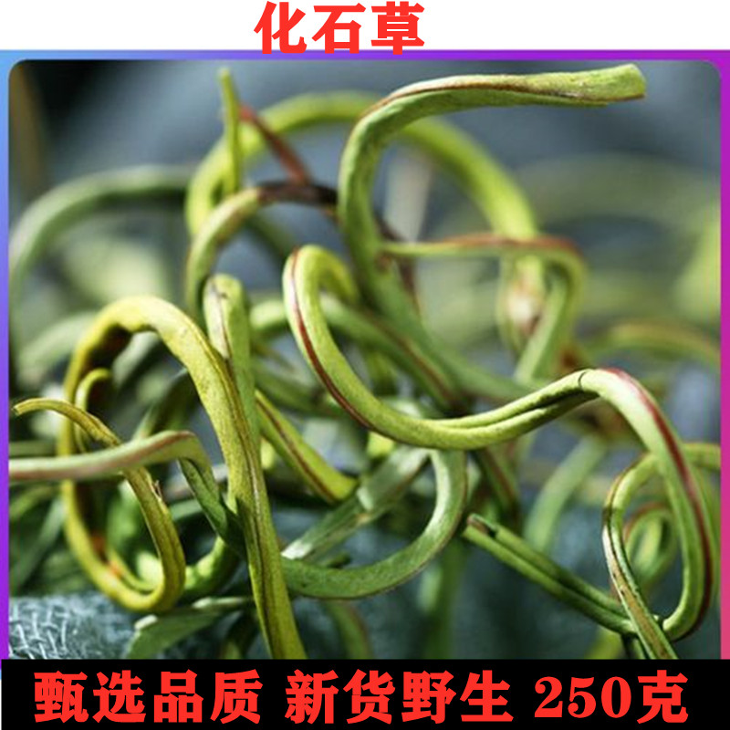 野生特级肾精茶中药材散装化石草