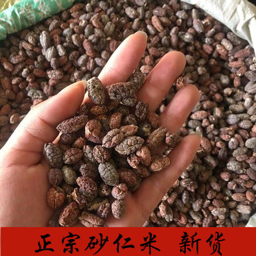 砂仁米去壳砂仁正品新货250克精选春砂仁米中药材砂仁籽食用药用