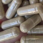 水蛭蜈蚣土元 干蟾粉水蛭素全蝎地龙胶囊壁虎粉药材 蚂蟥粉胶囊正品