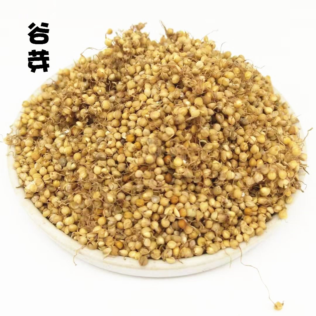 中药材谷芽50克 小米芽