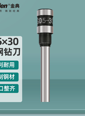 金典GD530/540原装钻刀GD-xc103 N3168 BD-1S G6 100钻孔刀头冲针