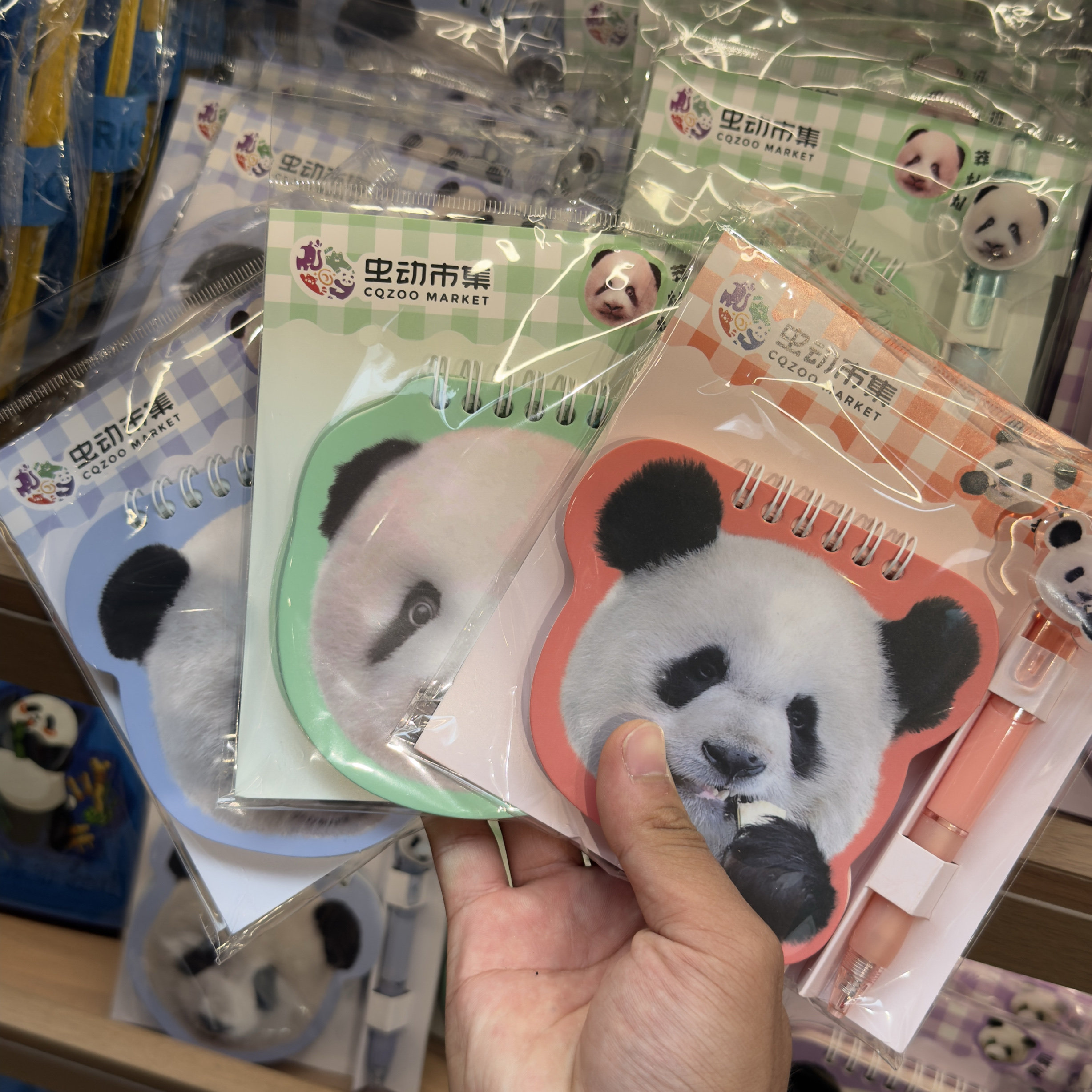 重庆动物园大熊猫渝可渝爱莽小五莽辰辰线圈本代购