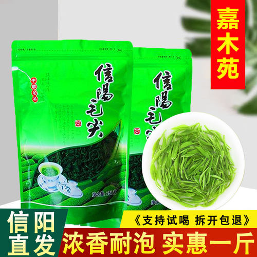 信阳毛尖浓香型口粮茶袋装500g
