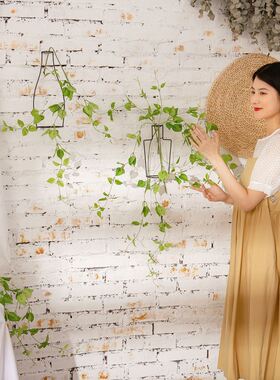 厂家蕨叶铁线吊兰仿真花外贸外贸绿植物墙金钱叶假花MW35422