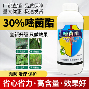 农用30%嘧菌酯炭疽病叶斑病霜霉病纹枯病褐斑疫病杀菌剂农药大全