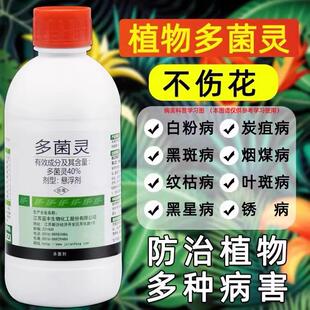 多菌灵杀菌剂花卉植物通用多茵灵多菌灵溶液多肉兰花月季黑斑病