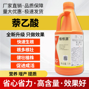 国光植根源萘乙酸生根剂植物生根壮苗剂大树移栽扦插发根液