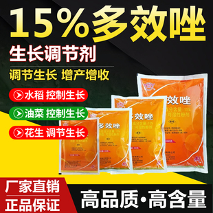 15%多效唑花生水稻油菜矮壮控旺控徒长矮化剂农药植物生长调节剂