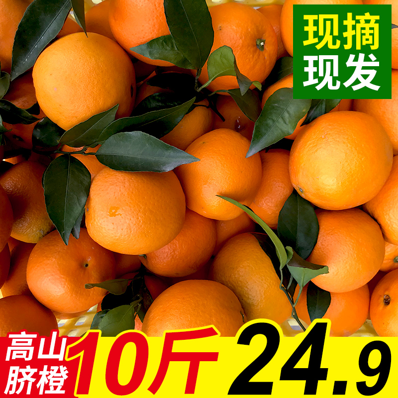 个大新鲜