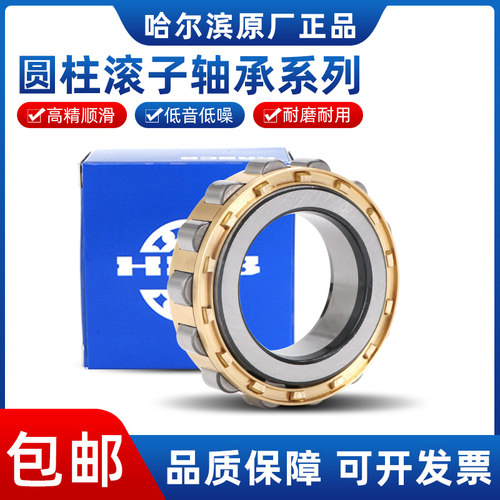哈尔滨圆柱滚子轴承RN N 304 305 306 307 308 309 310 311 312 M