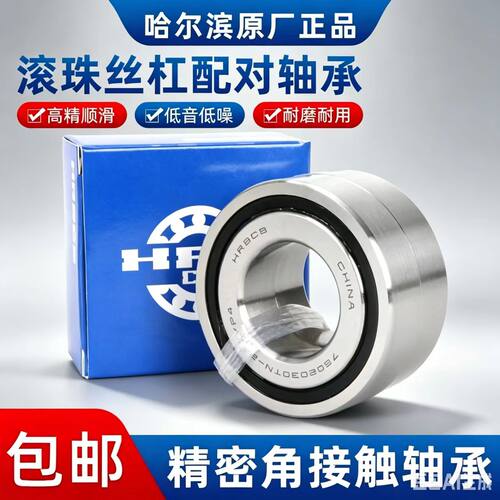 哈尔滨滚珠丝杠配对轴承760304 760305 760306 760307  TN/P4DB