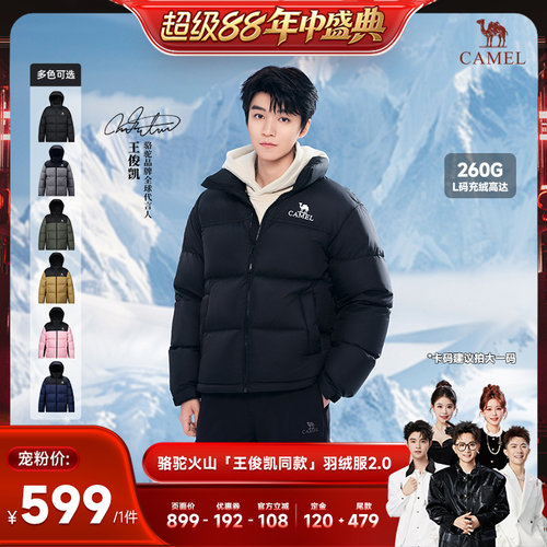 Camel/骆驼立领骆驼男装羽绒服