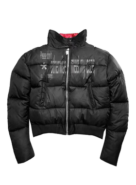 DETW 25AW“红星”红内立领两形态盔甲弯刀袖造型设计感羽绒棉服