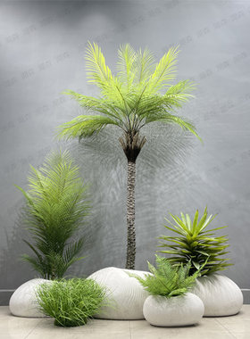 湖森高品质工厂直销高端绿植造景