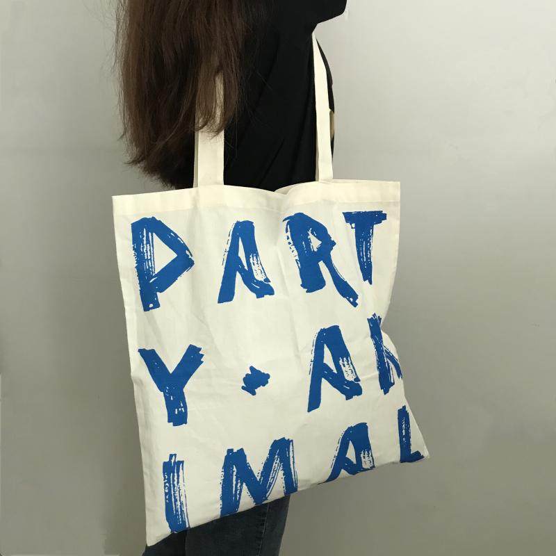 2019新款韩版简约百搭女帆布包