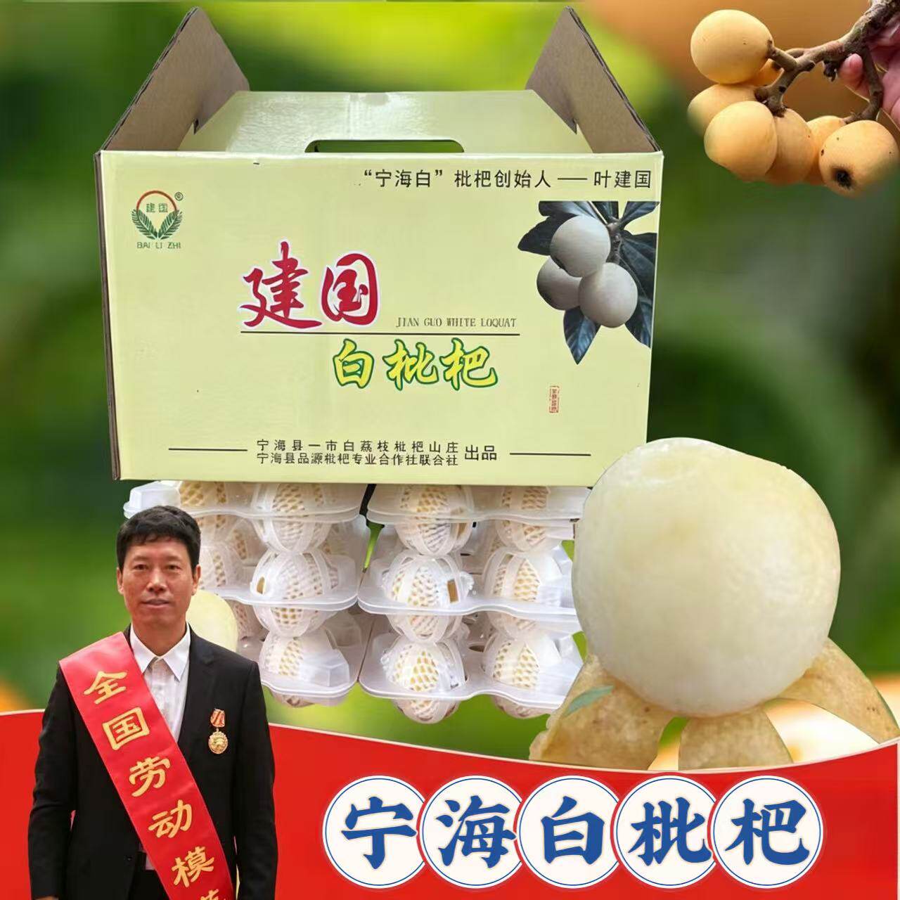 宁海白枇杷 当季新鲜水果白沙白玉大果琵琶礼盒装高端水果包邮