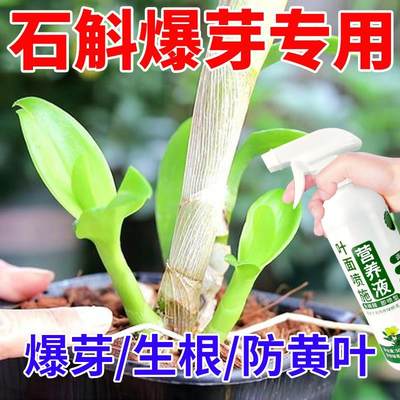 石斛专用肥营养液石斛兰促生根发芽叶面喷施肥料喜酸性植物通用型