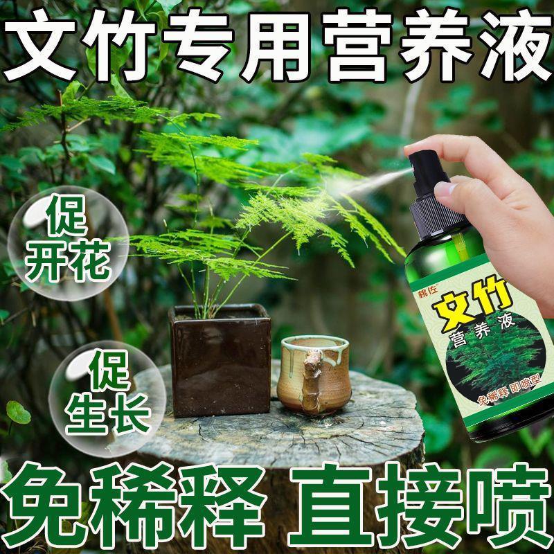 文竹专用营养液预防烂根枝叶黄脱落一喷绿植物叶面喷施花肥免稀释