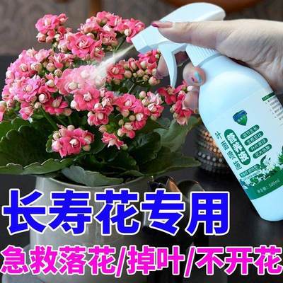 营养液养花专用通用长寿花专用长寿花催花剂花大不掉苞防黄叶掉叶