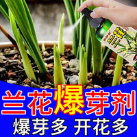 兰花专用肥料【爆芽快】防黄叶烂根空根催芽催花兰草花家用营养液