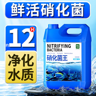硝化细菌鱼缸水质净化专用剂消化细菌鱼用鱼池用开缸养水鱼缸维护