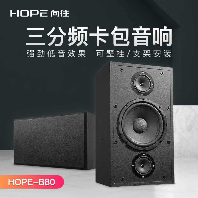向往 B80舞台设备家用KTV卡包音响 壁挂/支架音箱