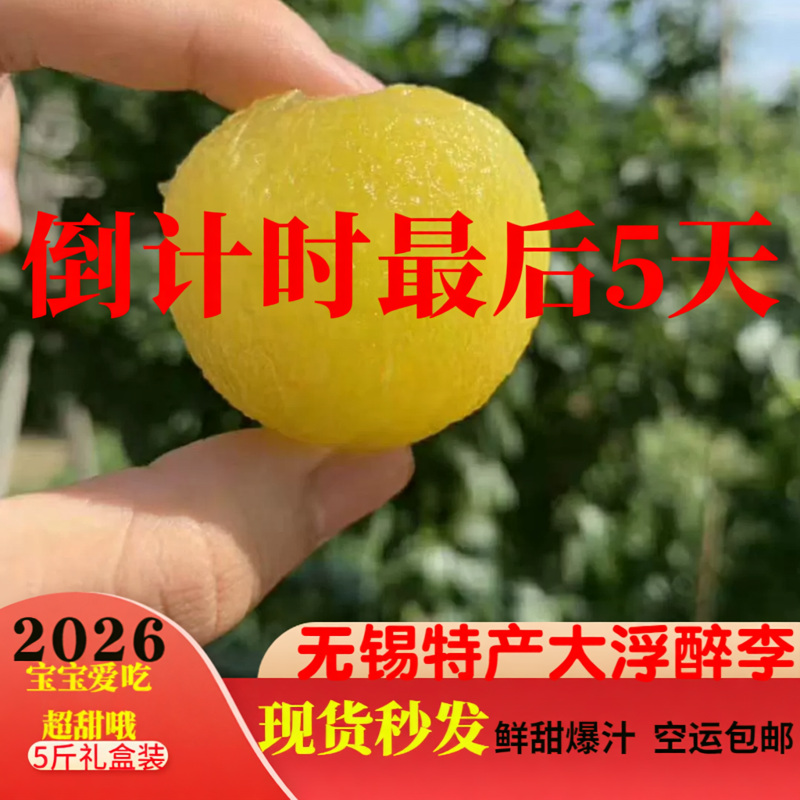 正宗无锡大浮醉李东山奈子翡翠李子绿宝石孕妇新鲜水果端午礼盒装