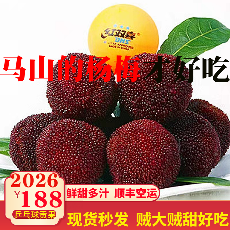 正宗无锡马山杨梅东魁杨梅仙居东魁杨梅乒乓球大果甜6斤礼盒端午