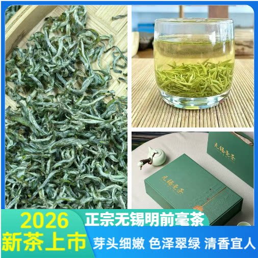 无锡毫茶2026正宗无锡马山特产明前绿茶毫茶新茶100g罐装200g礼盒
