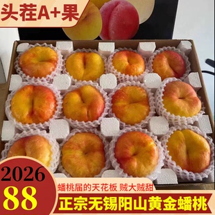 无锡阳山黄金油蟠桃黄心彩虹蟠油桃当季新鲜水果脆甜纽扣扁毛盘桃