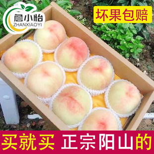 正宗无锡阳山水蜜桃白凤桃湖景桃桃王礼盒装孕妇小孩当季新鲜水果