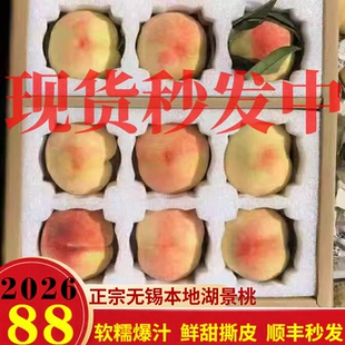 正宗无锡水蜜桃白凤桃湖景桃甜软爆汁毛桃礼盒孕妇小孩当季鲜水果