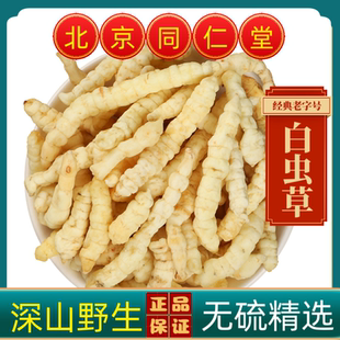 同仁堂白虫草中药材白虫草无硫虫草参中药材虫草参虫草参条虫草参
