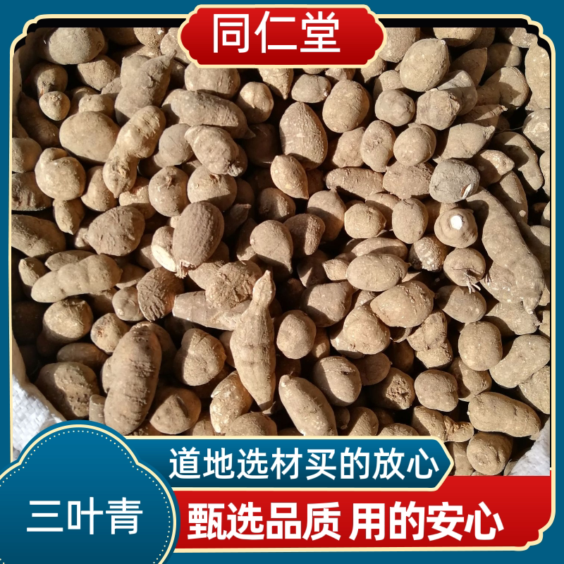 同仁堂中药材正宗野生浙江三叶青新货足干金线吊葫芦金丝吊葫芦