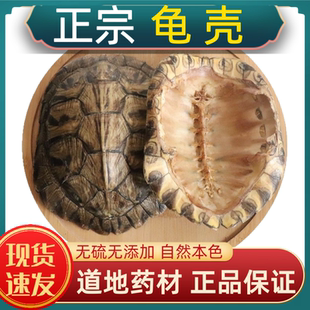 宁世堂龟壳中药材汉龟壳正宗龟背甲药用生龟甲壳龟上甲上壳乌龟壳