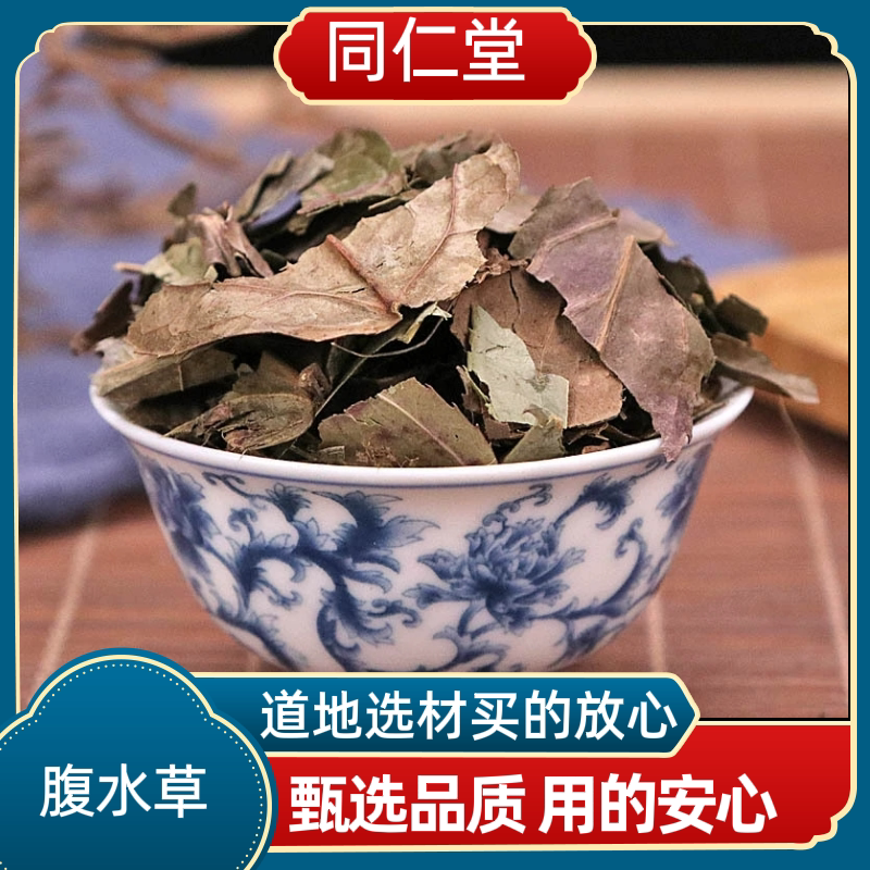 同仁堂中药材腹水草多穗草两头爬爬崖红爬红岩毛叶腹水草新货上市