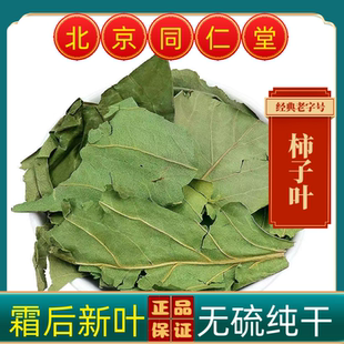 同仁堂柿叶中药材柿子叶霜后柿子叶新货正品柿叶茶柿子叶子霜柿叶